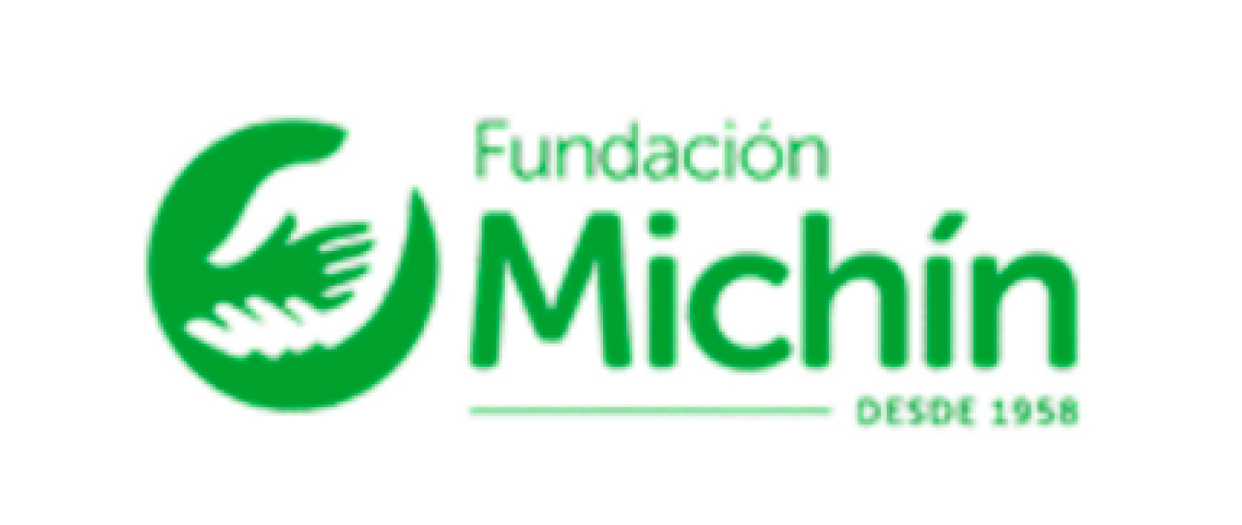 Fundación Michín