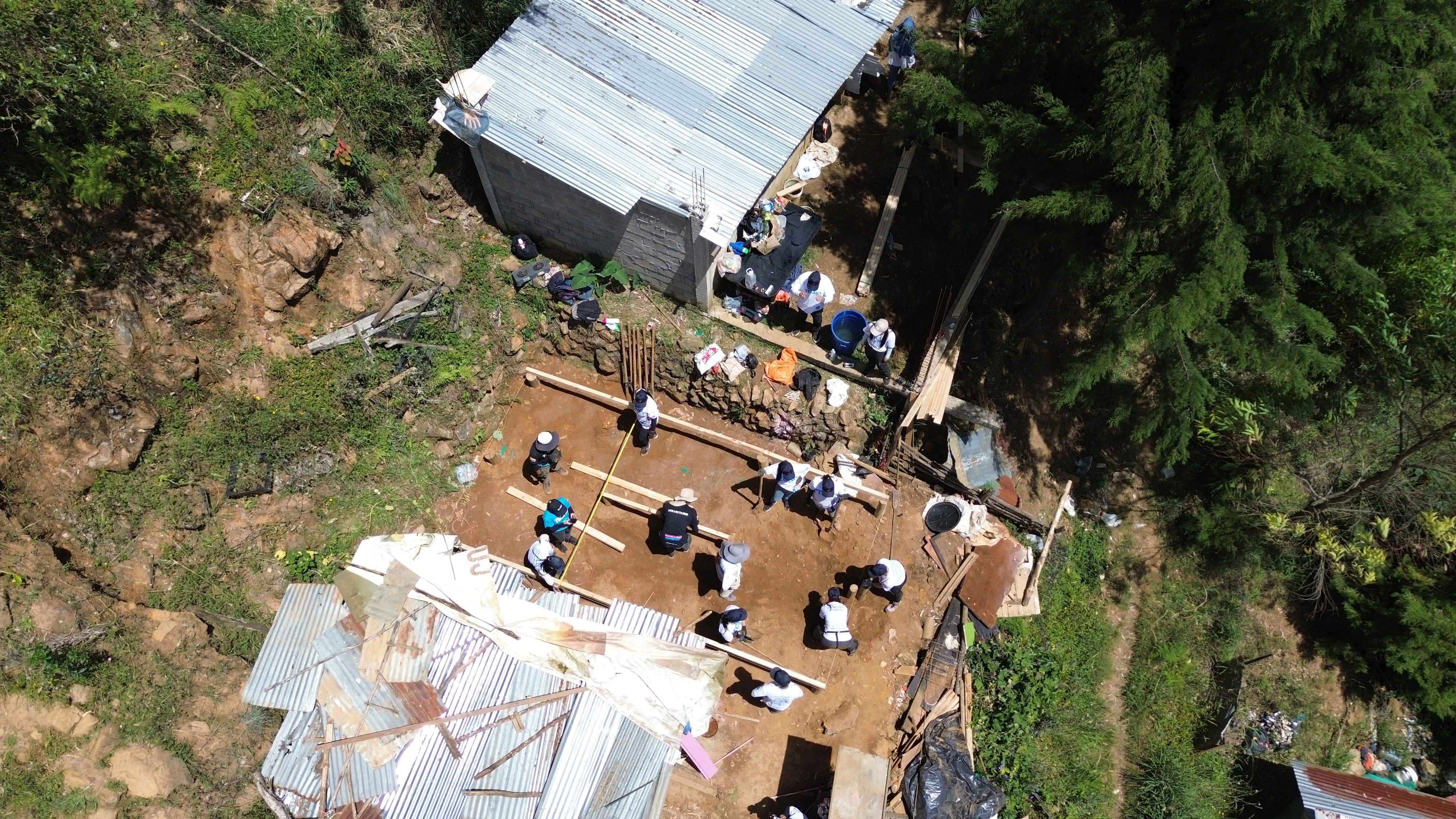 Voluntarios en acción
